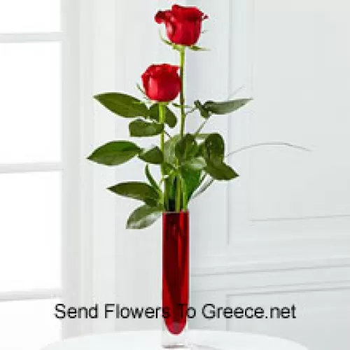 Zwei rote Rosen in einer roten Reagenzglasvase (Wir behalten uns das Recht vor, die Vase bei Nichtverfügbarkeit zu ersetzen. Begrenzter Vorrat)